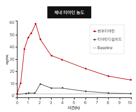 체내 티아민 농도
